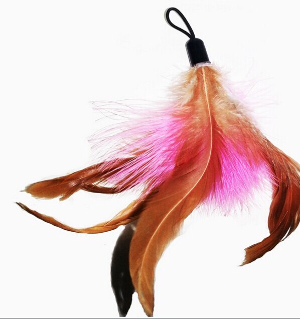 100PCS Pet Cat Toy Fishing Rod Feather Head Cat Stick Rod Bird Genuine Feather Refill Replacement Funny