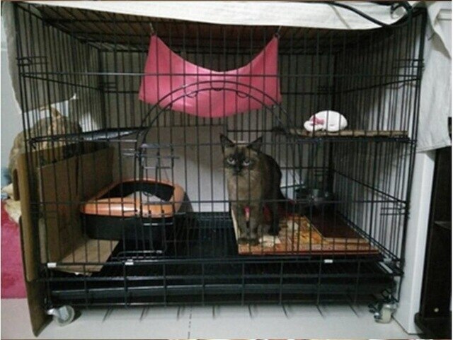76*51*65cm Double Layer Cat Cage Portable Foldable Playpen Pet Dog Crate Room Puppy Exercise Kennel Cat Cage Pet Dogs Cats House
