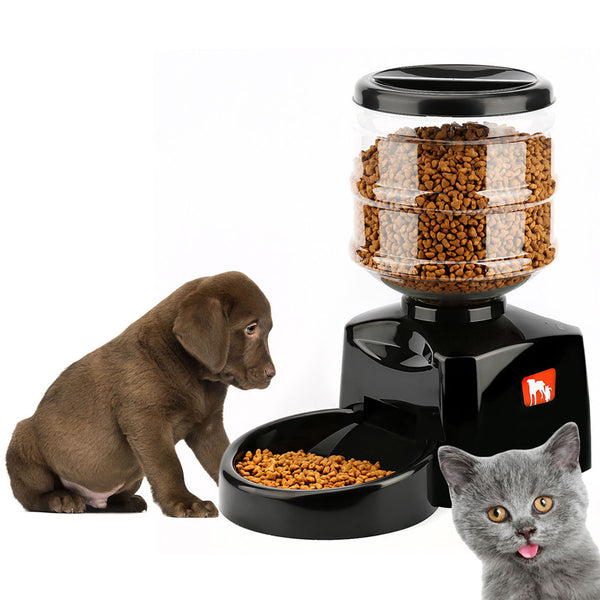 Pet Automatic Feeding Watering 5.5L Timing Recordable playbackquantification Feeder Feeding Machine for Cats Dogs Travel