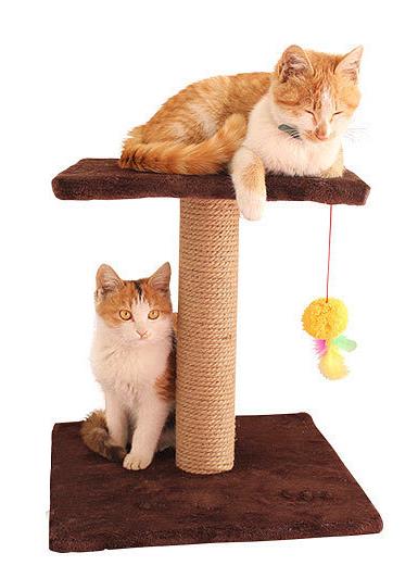 QQQPET Pet Toys For Cats Climbing frame Cat Tree Toy Scratching Pad Cat Scratch Toy Jumping Plate Cat House