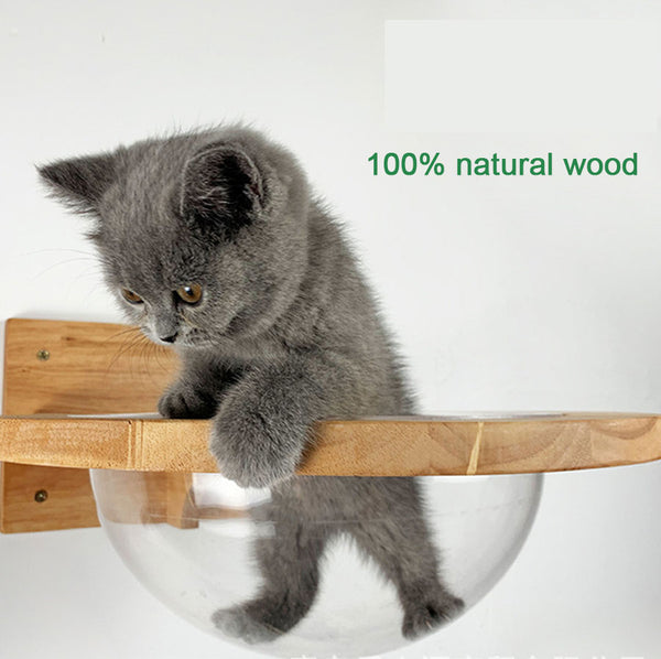 Space Capsule Pet Litter Transparent Window Cat House Wooden Cat Tree Wall Hanging House Wooden Climbing Frame Kitten Bridge
