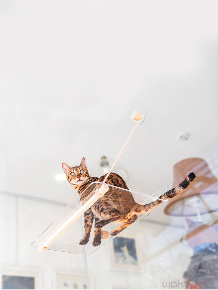 Cat springboard transparent cat bed sucker hanging nest window hammock  nest common windowsill glass cat supplies pet products