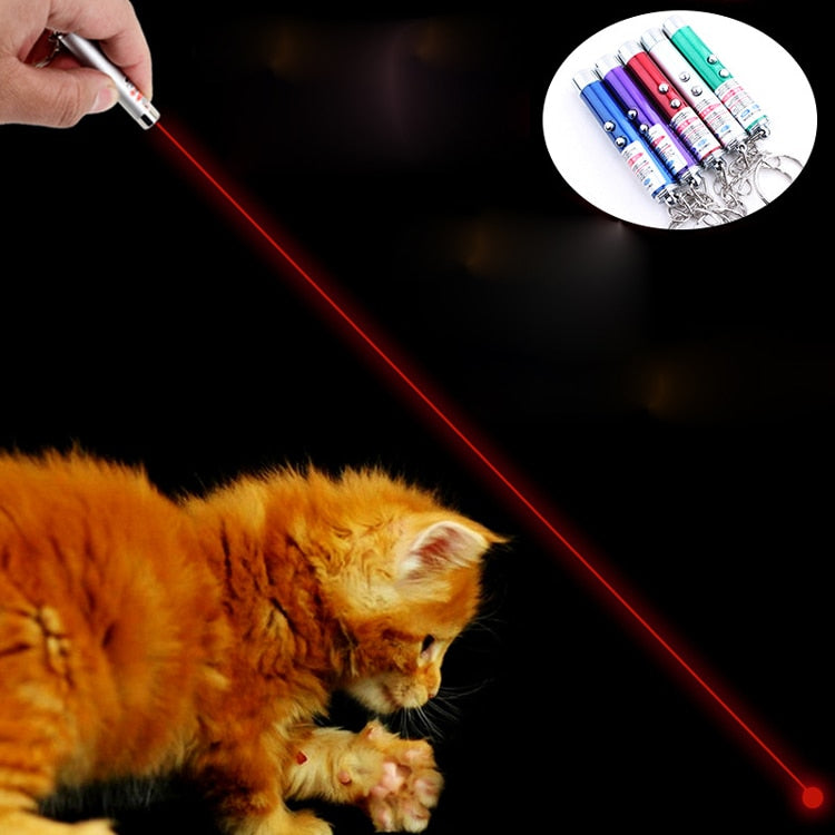 2 in 1 Laser Pointer Pen Flash Mini LED Torch with Keyring Cat Toys Pets Supplies Children Kids Gift Retail Package