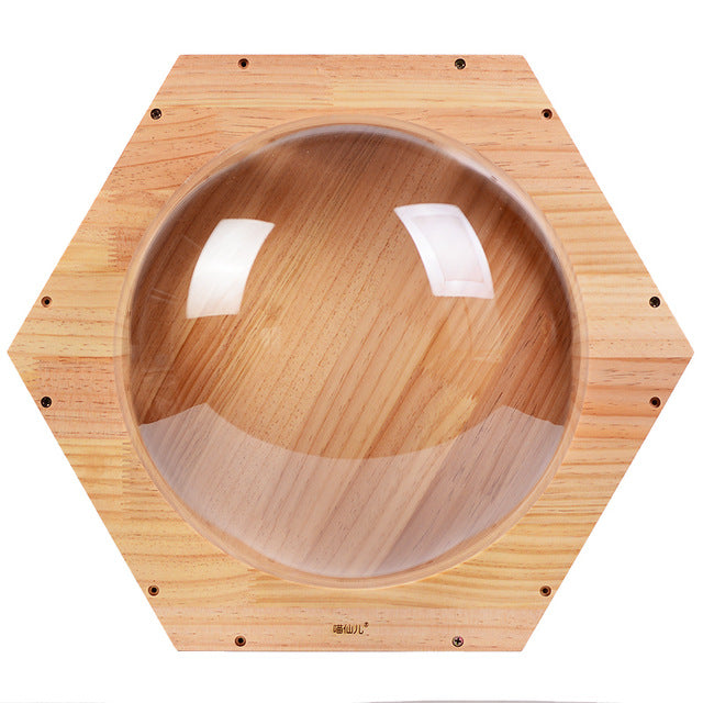 51*44*26CM Space Hexagonal Wooden Cat house Cat jumping platform Pet Creative Toy cattery Pet Climb Frames Cat wall nest CW107