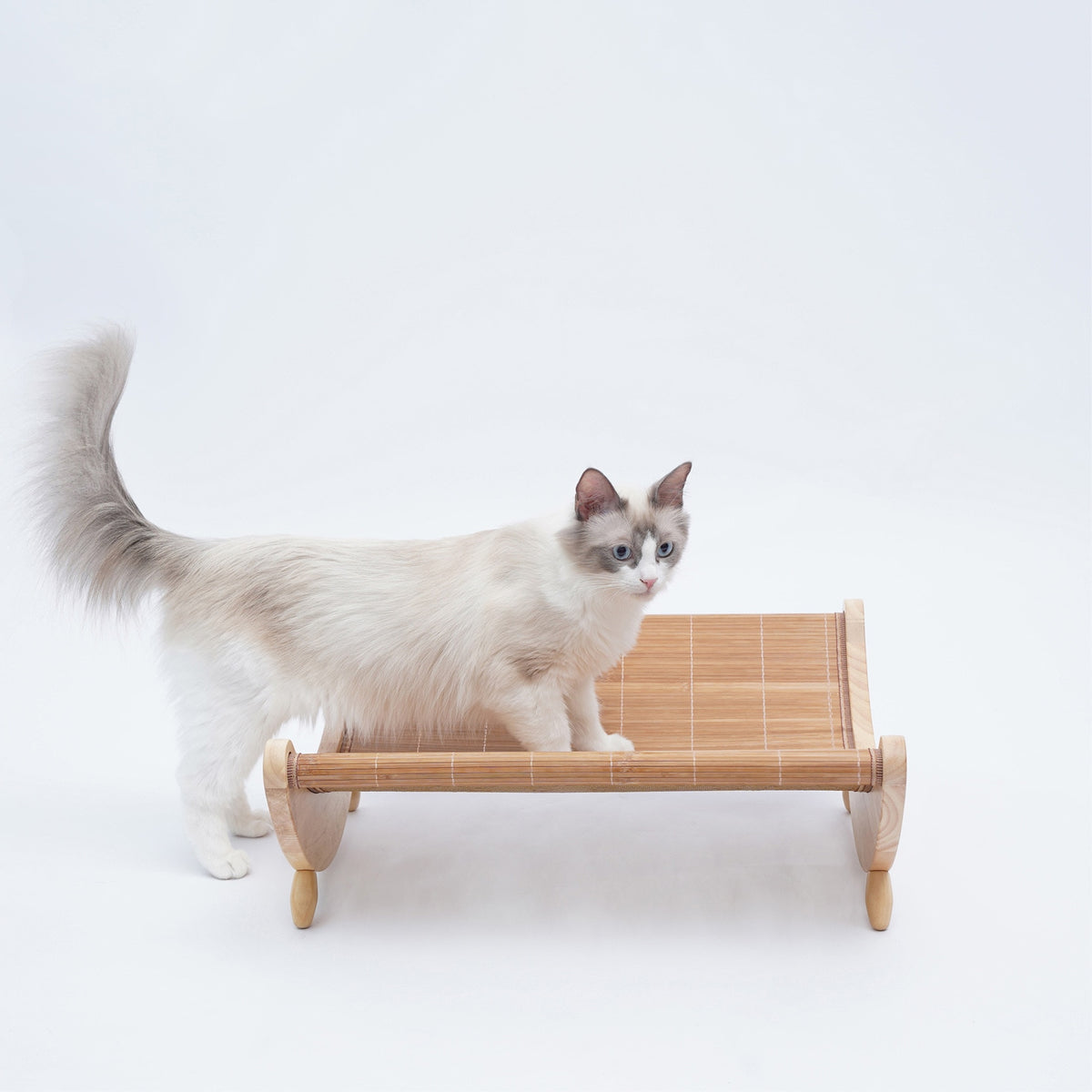 Cat mat reclining chair Summer outdoor dual-purpose armchair rocking chair hammock pet bed dog nest Summer pet supplies cool
